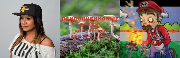 альфа пвп Шали