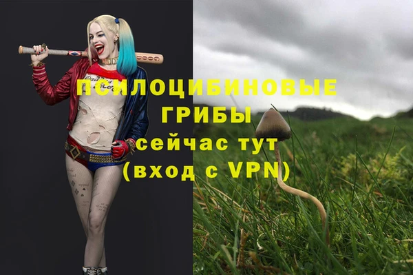 мяу мяу мука Шадринск