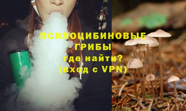 альфа пвп Шали