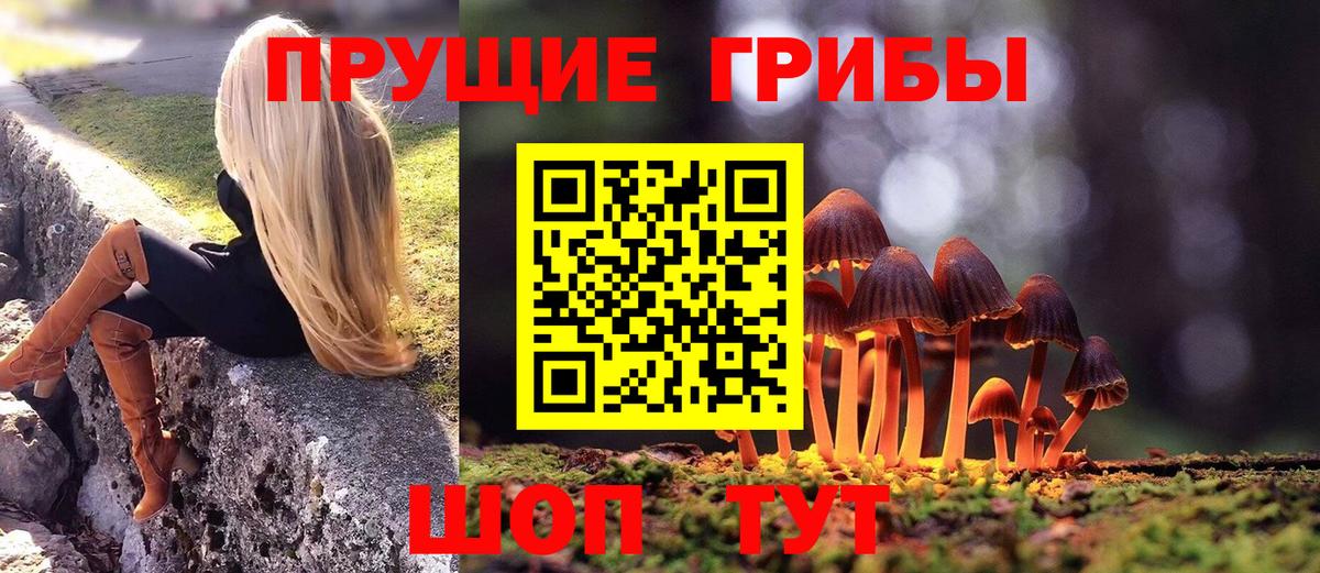 Псилоцибиновые грибы MAGIC MUSHROOMS Жуковский